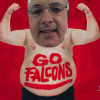 GoFalcons